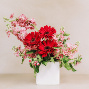 Small Valentine’s Day flower arrangement with pink stock and red gerbera daisies in Northwest Arkansas